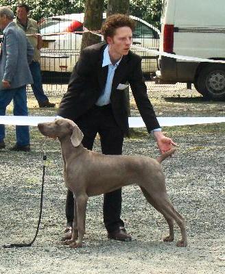 de la Roseraie de Pennanguer - Chanel Meilleur de Race Jeune à Saint Brieuc!