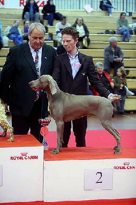 de la Roseraie de Pennanguer - Chanel, Meilleur de Race Jeune et 2ème de Groupe Jeune à Angers !