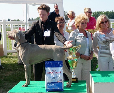 de la Roseraie de Pennanguer - Chanel Réserve de Best in Show à Tours!!