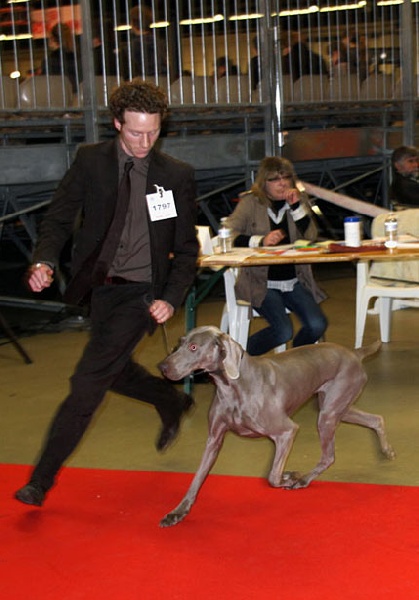 Paris Dog Show 2011