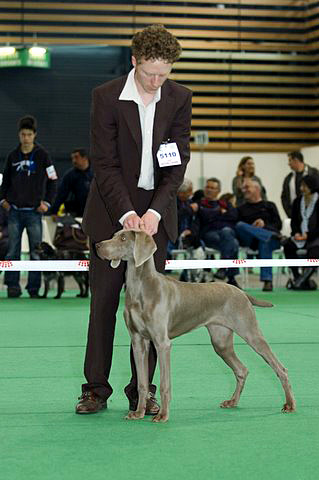 Championnat de France 2008
